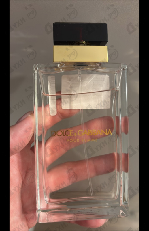Купить Pour Femme (2012) от Dolce & Gabbana