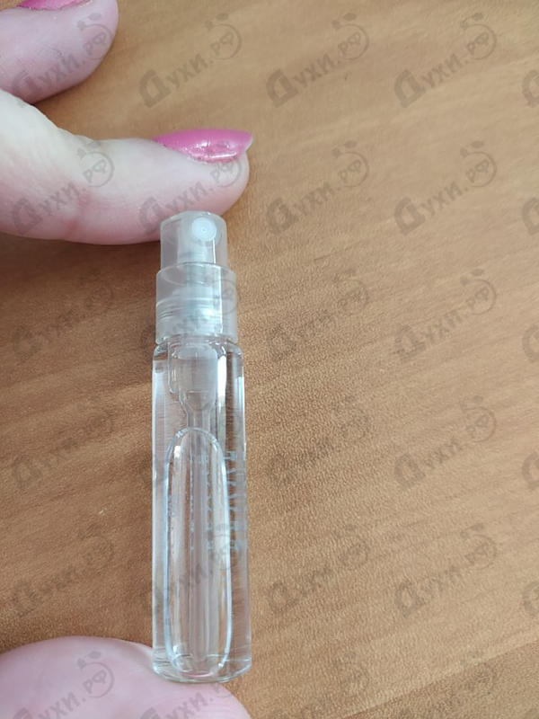 Купить Vince Camuto от Vince Camuto