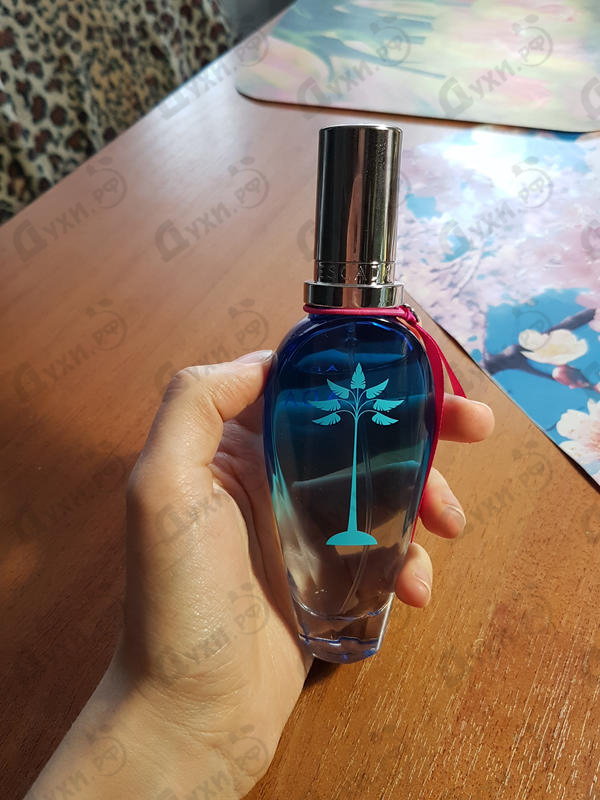 Парфюмерия Escada Island Paradise Купить Island Paradise от Escada