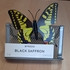 Парфюмерия Black Saffron от Byredo Parfums
