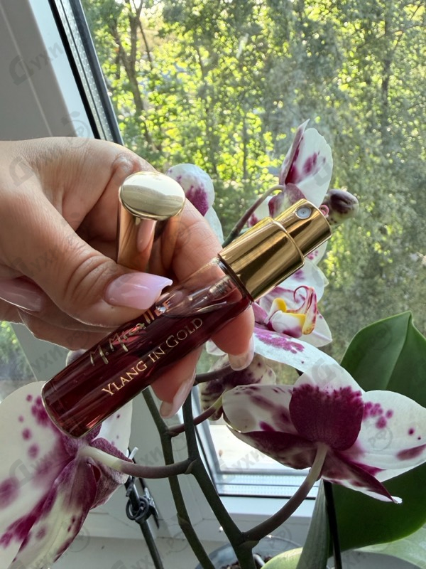 Купить Micallef Ylang In Gold