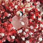 Духи Nina L'eau от Nina Ricci