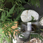 Отзывы Nasomatto Absinth