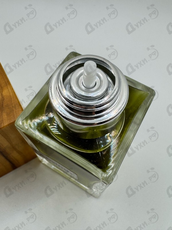 Купить Absinth от Nasomatto