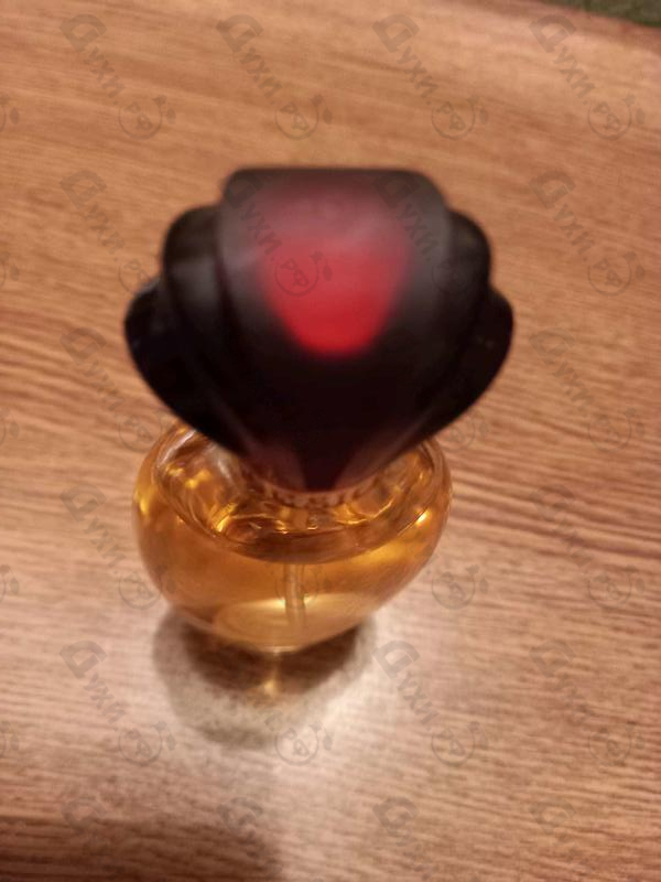 Духи Design от Paul Sebastian