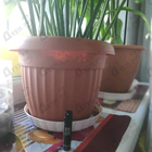 Отзывы Serge Lutens La Fille De Berlin