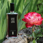 Отзывы Serge Lutens La Fille De Berlin