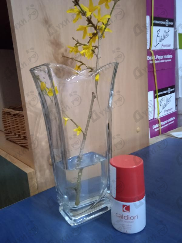 Отзывы Hunca Caldion for Women Духи Caldion for Women от Hunca