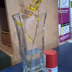 Отзыв Hunca Caldion