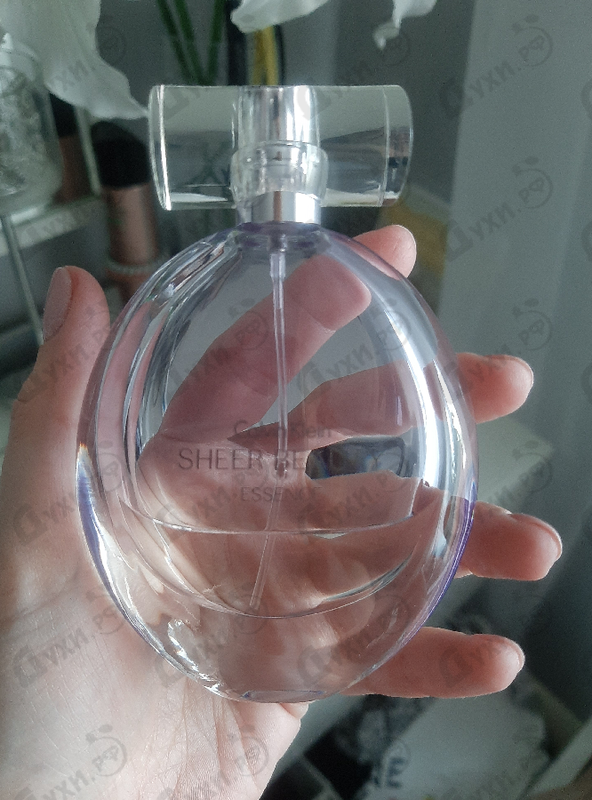 Отзывы Calvin Klein Sheer Beauty Essence