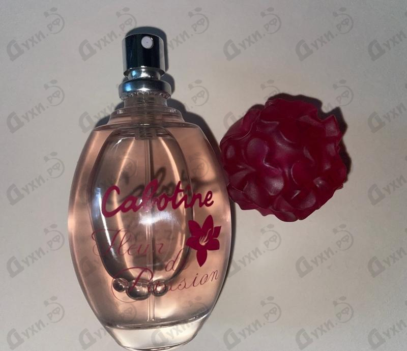 Отзыв Gres Cabotine Fleur De Passion