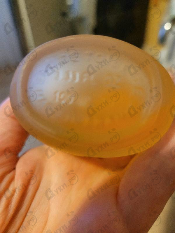 Духи Rumba от Ted Lapidus