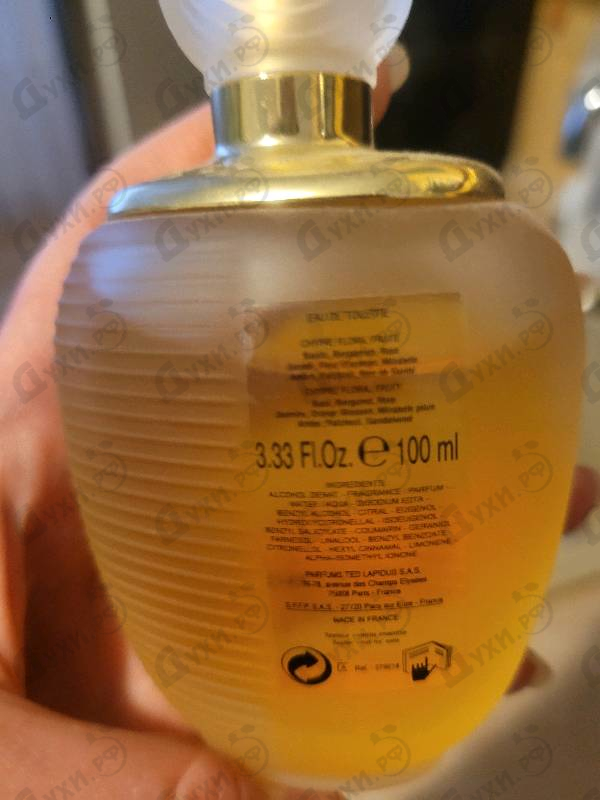 Отзыв Ted Lapidus Rumba