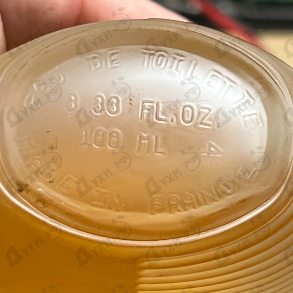 Купить Rumba от Ted Lapidus