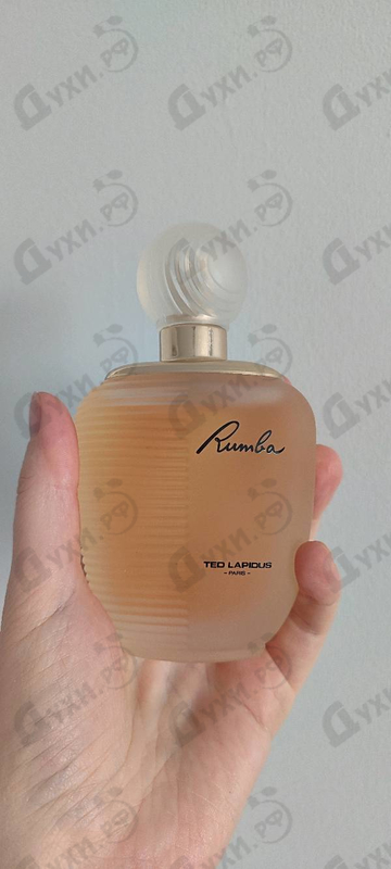Купить Rumba от Ted Lapidus