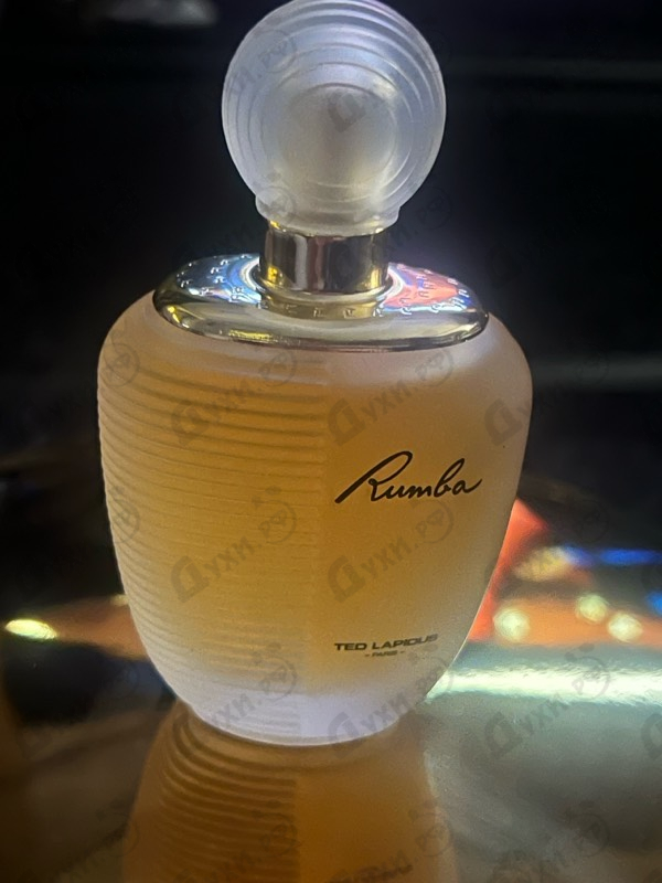 Купить Rumba от Ted Lapidus