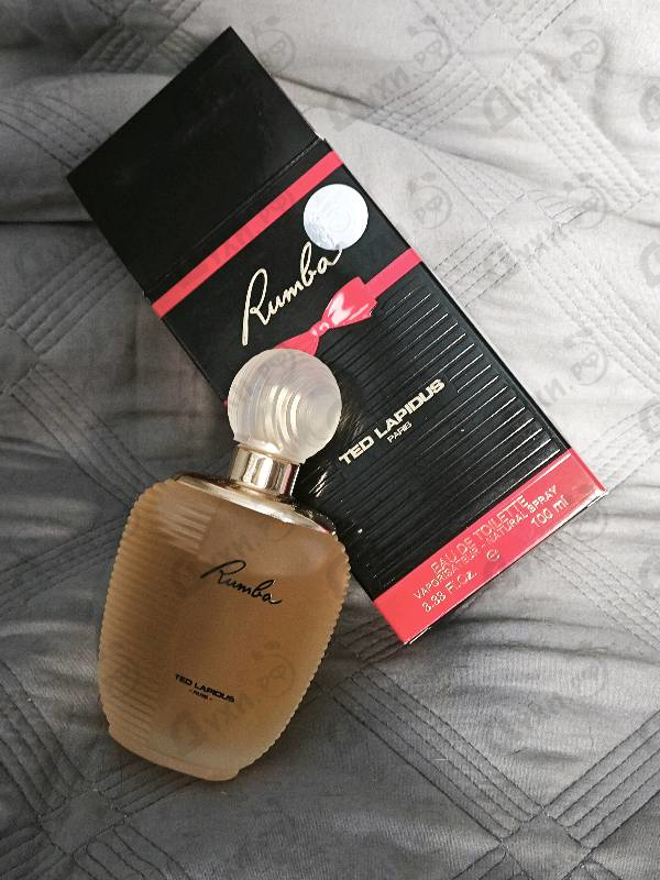 Купить Rumba от Ted Lapidus