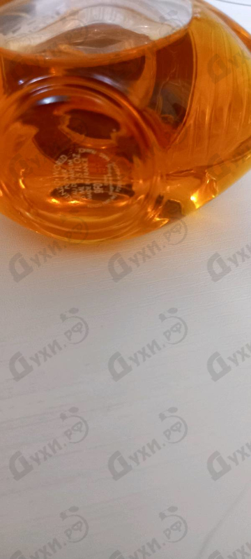 Купить World Power от Kenzo