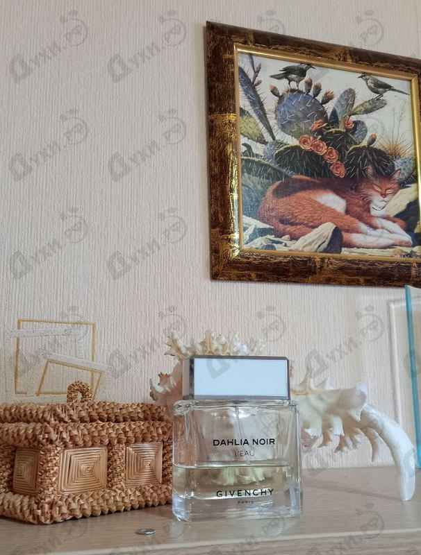 Духи Dahlia Noir L'eau от Givenchy