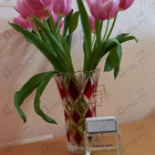 Духи Dahlia Noir L'eau от Givenchy