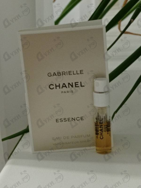 Отзывы Chanel Gabrielle Essence