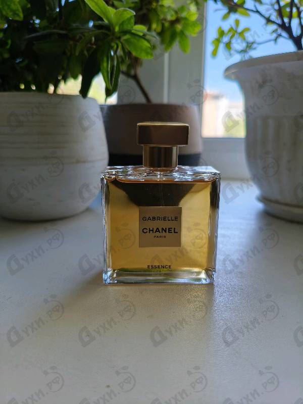 Отзывы Chanel Gabrielle Essence