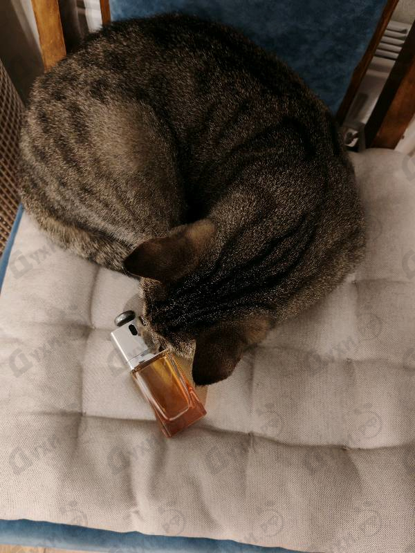 Парфюмерия Addict Eau Delice от Christian Dior