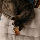 Парфюм Christian Dior Addict Eau Delice