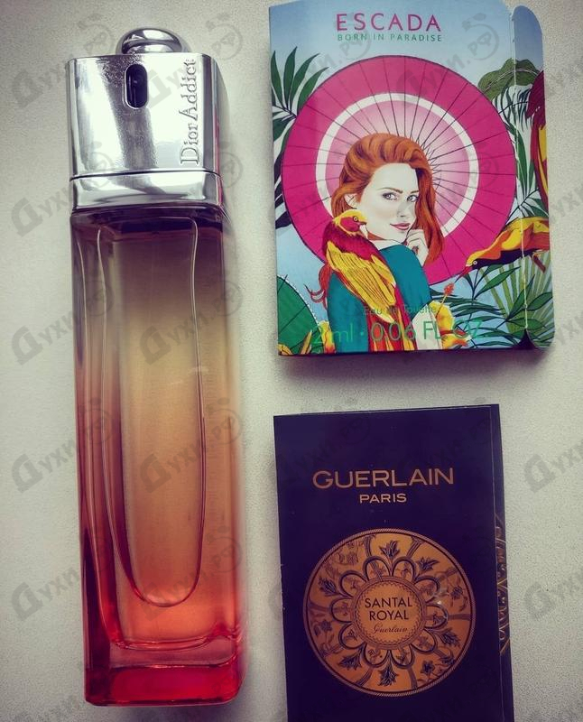 Парфюмерия Christian Dior Addict Eau Delice Купить Addict Eau Delice от Christian Dior