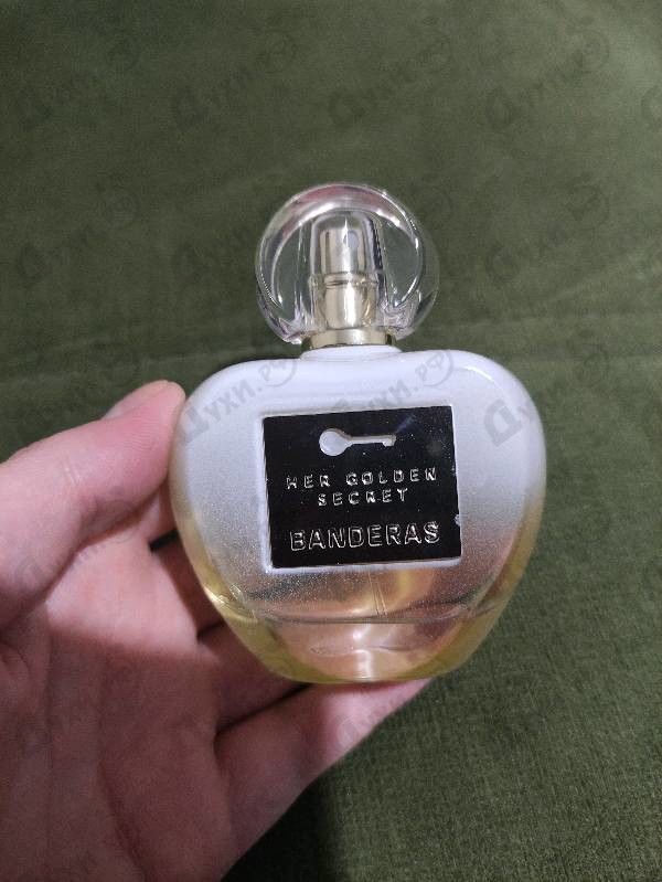 Купить Her Golden Secret от Antonio Banderas