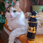 Духи Black Muscs от Alexandre J