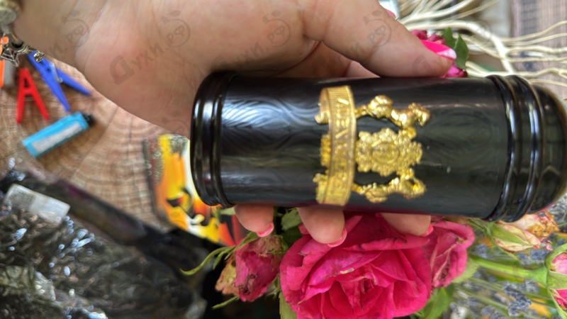 Купить Alexandre J Black Muscs