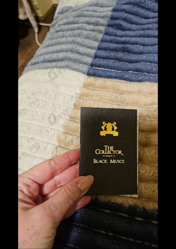 Купить Black Muscs от Alexandre J