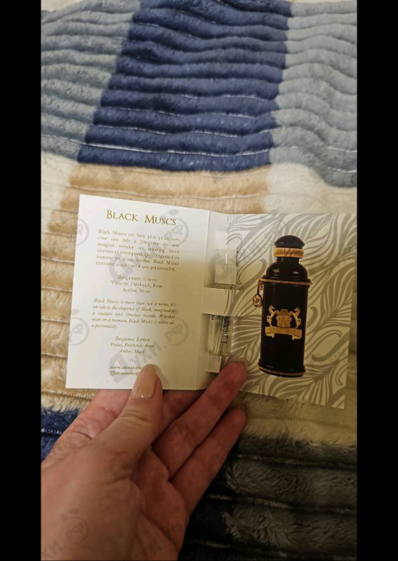 Купить Black Muscs от Alexandre J