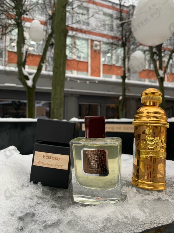 Купить Alexandre J Golden Oud