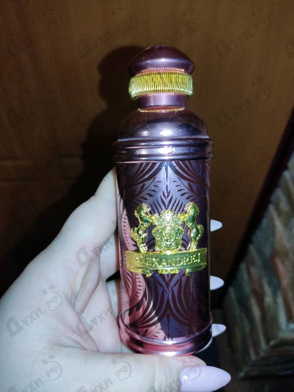 Купить Alexandre J Morning Muscs