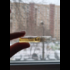 Отзывы Amouage Beloved