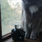 Отзыв Diesel Only The Brave Tattoo