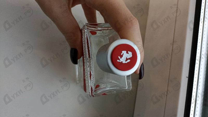 Отзыв Ferrari Red Power