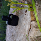 Отзывы Lacoste L.12.12. Noir