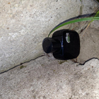 Отзыв Lacoste L.12.12. Noir