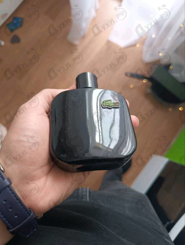 Купить Lacoste L.12.12. Noir