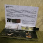 Отзыв Memo Irish Leather