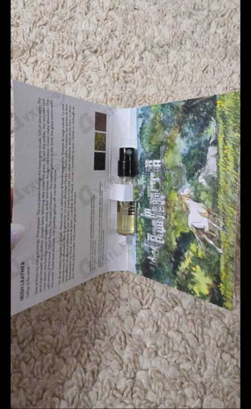 Отзывы Memo Irish Leather