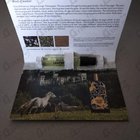 Отзыв Memo Irish Leather