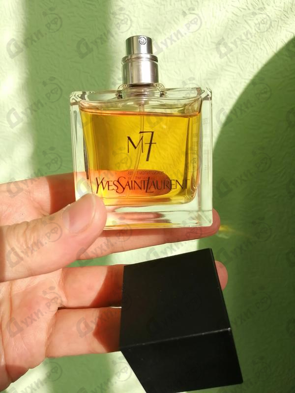 Отзывы Yves Saint Laurent M7