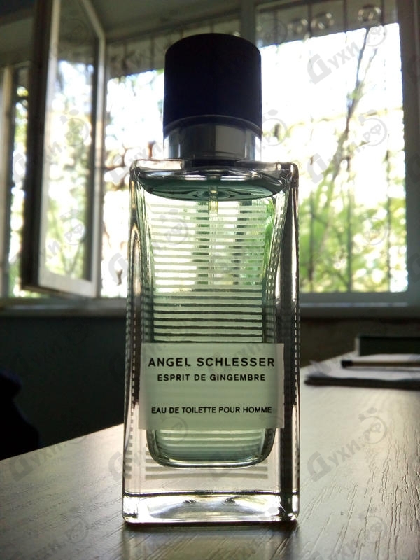 Отзывы Angel Schlesser Esprit De Gingembre