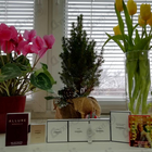 Отзывы Chanel 1932