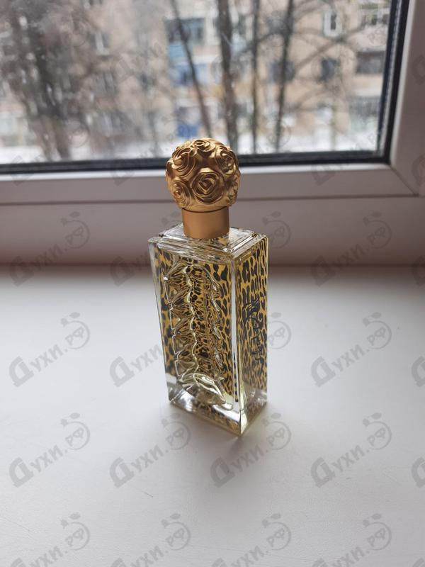 Купить Salvador Dali DaliWild