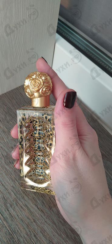 Купить Salvador Dali DaliWild